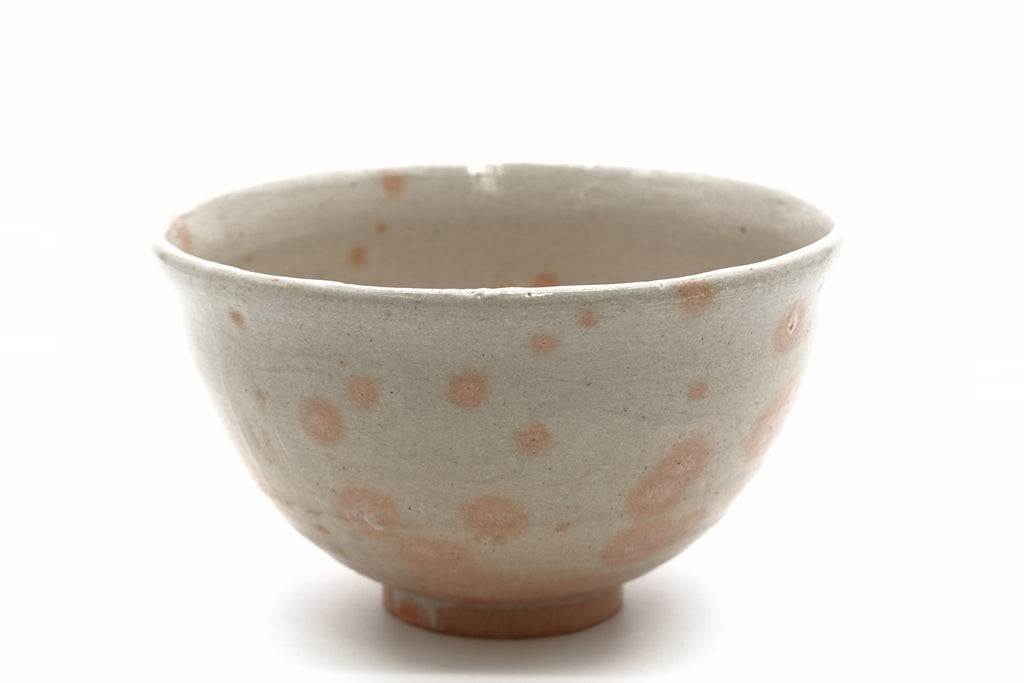 杉本 貞光　御本茶盌