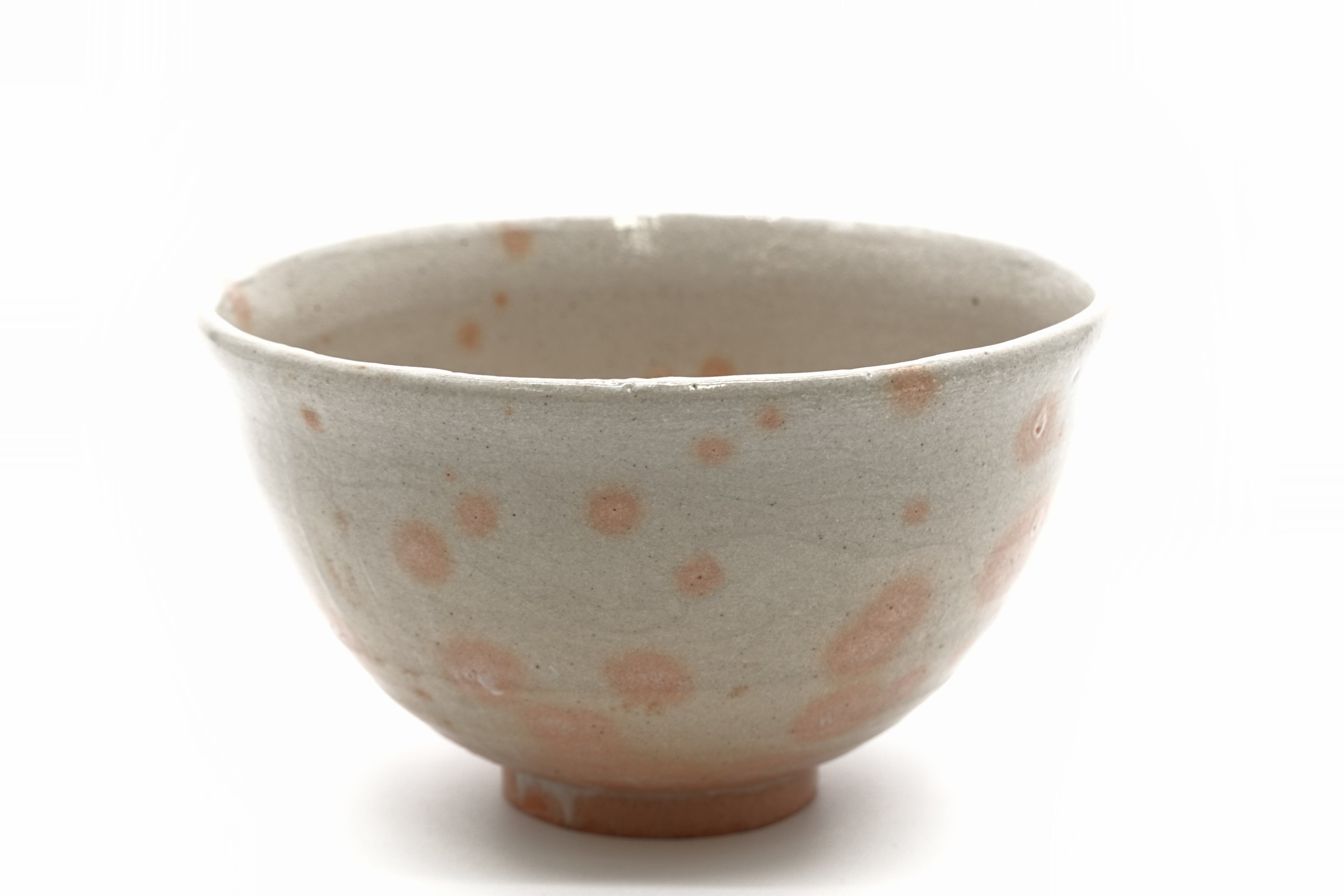 杉本 貞光　御本茶盌