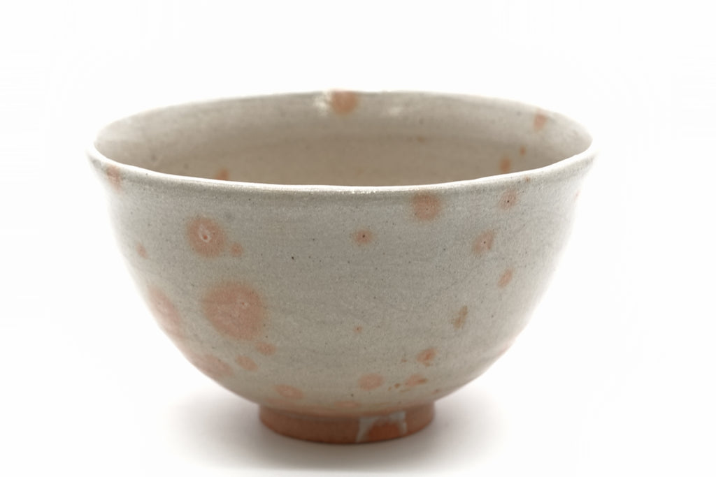 杉本 貞光　御本茶盌