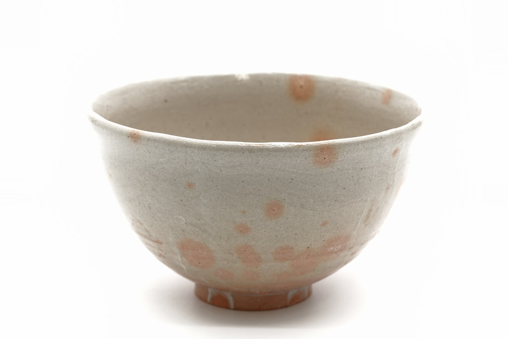 杉本 貞光　御本茶盌