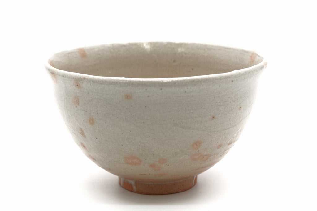 杉本 貞光　御本茶盌