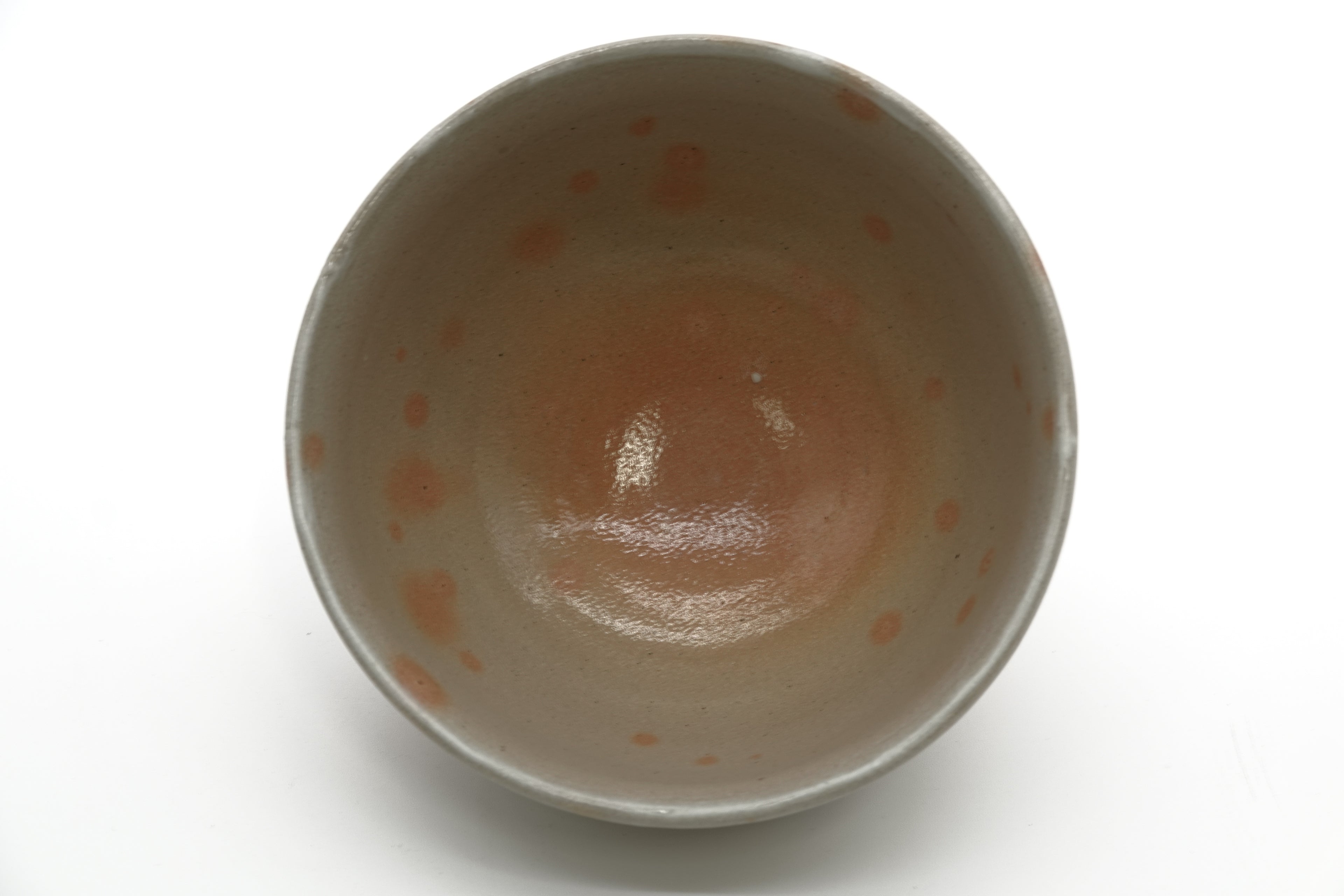 杉本 貞光　御本茶盌